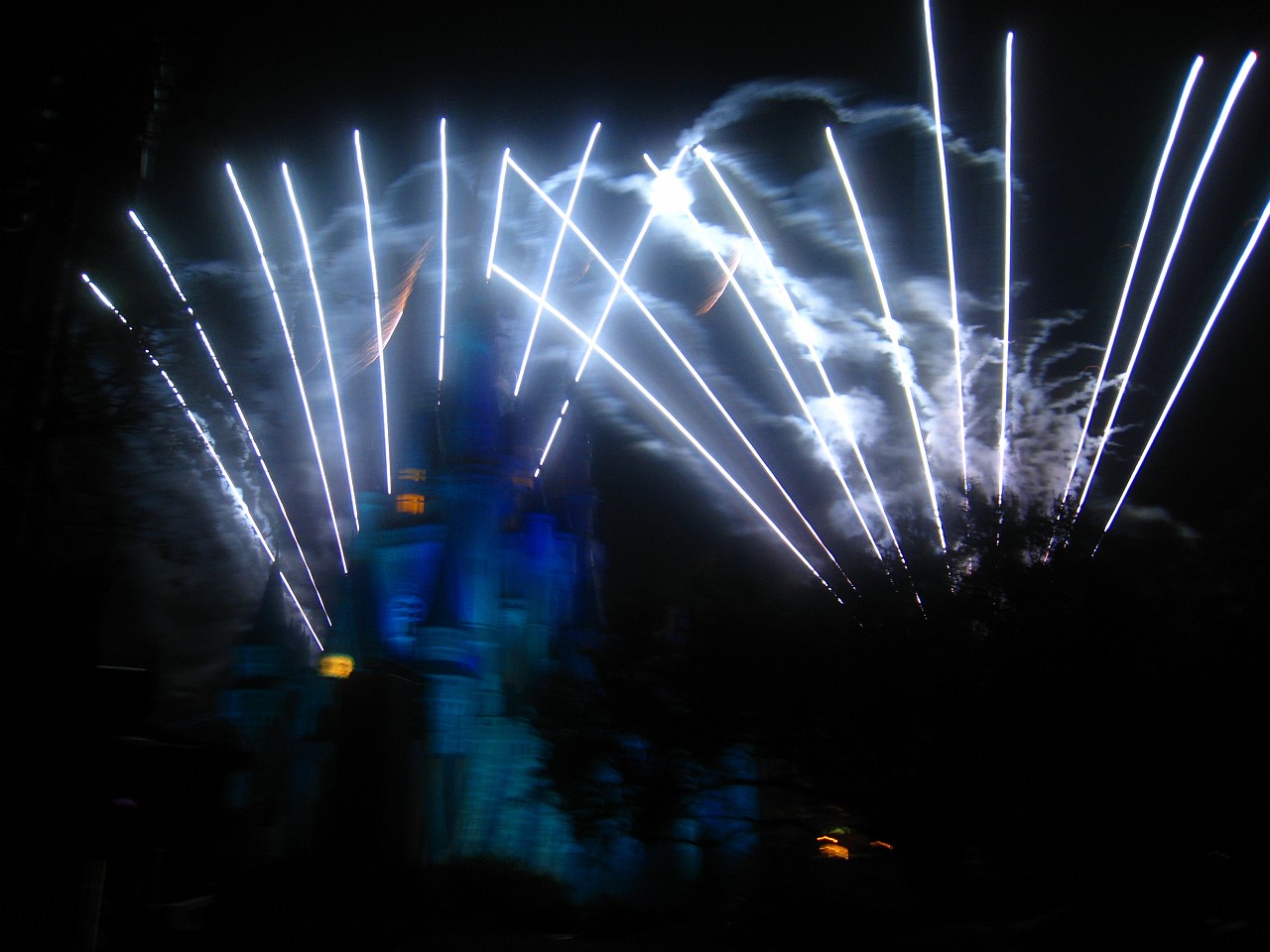 Vacation 2007-12 - Disney Parks  0976.jpg - The 2007-08 vacation to Florida included Disney World. We visited some of the larger theme Resorts along with Animal Kingdom and Disney Hollywood Studios.